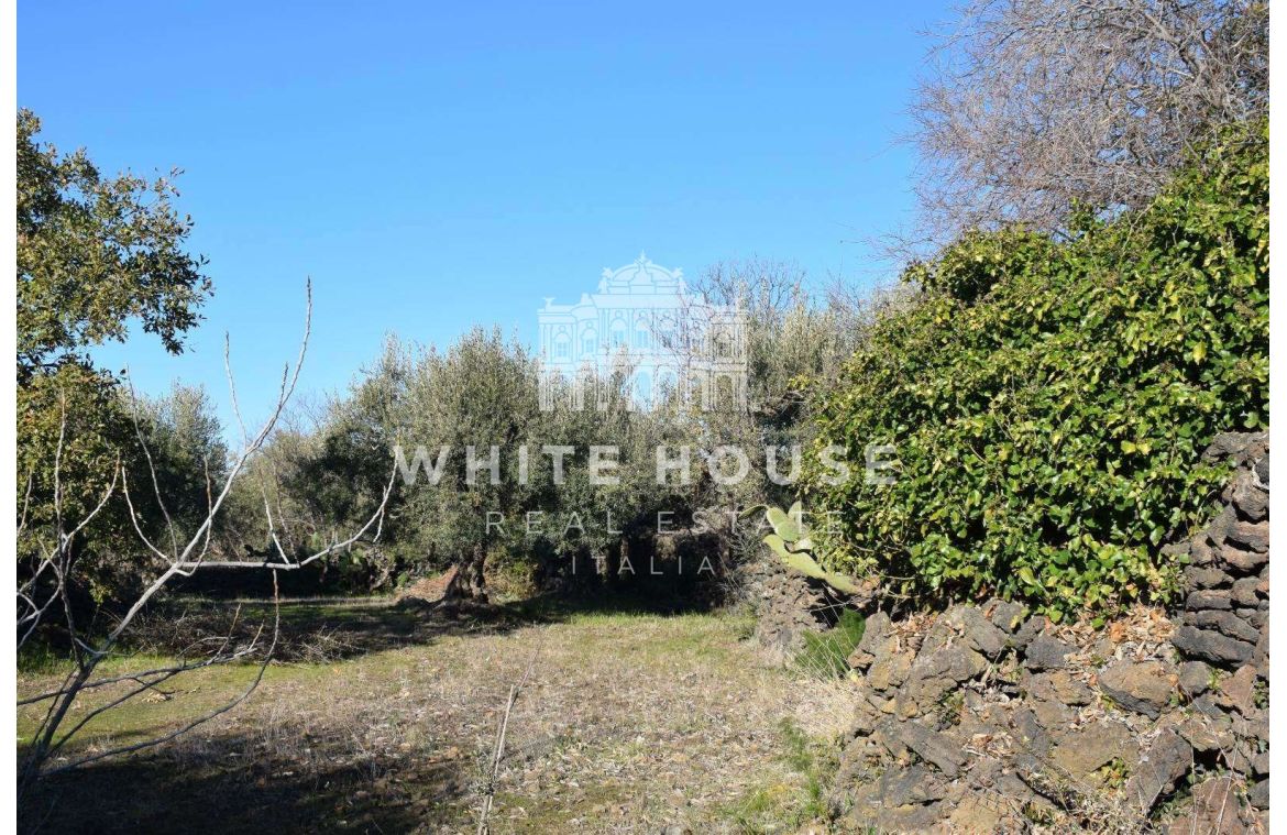 Terreno agricolo zona Belpasso