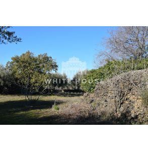 Terreno agricolo zona Belpasso