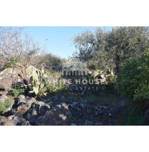 Terreno agricolo zona Belpasso
