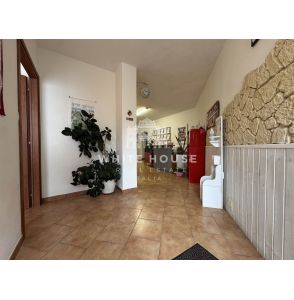 Bottega Mq 137 con spazio esterno Pedara Centro