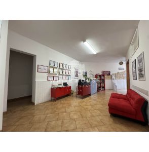 Bottega Mq 137 con spazio esterno Pedara Centro