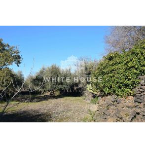 Terreno agricolo zona Belpasso