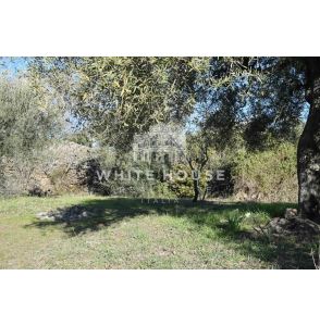 Terreno agricolo zona Belpasso